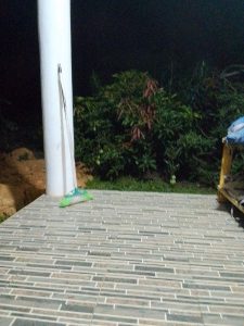 taman buah